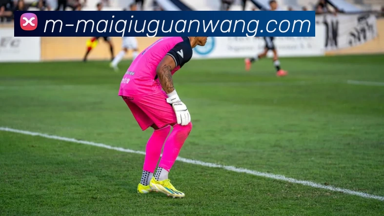 App Interface Preview