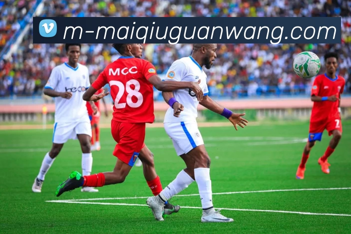 买球官网APP 封面图